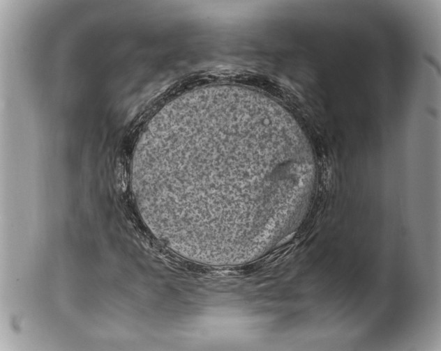 X0000100421253200806201814