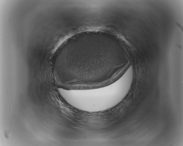 X0000100421256200806201814