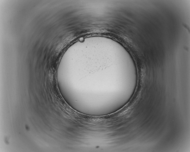 X0000100421257200806201814