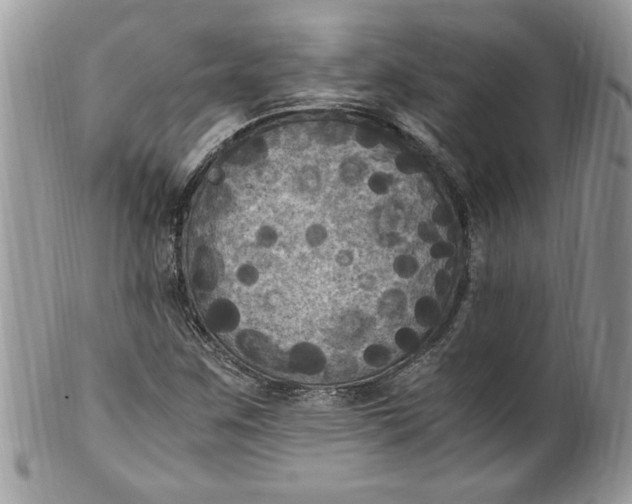 X0000100421259200806201814