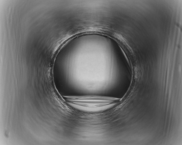 X0000100421260200806201814