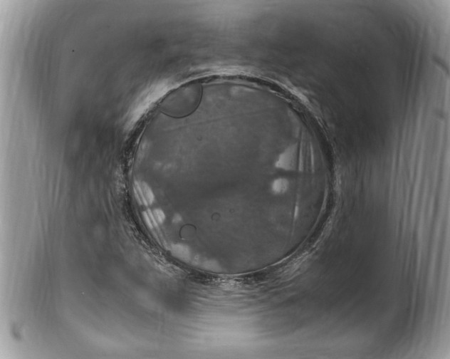 X0000100421263200806201814