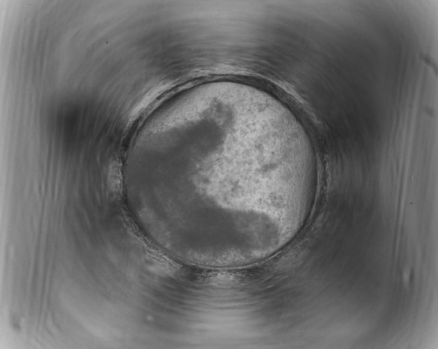 X0000100421266200806201814