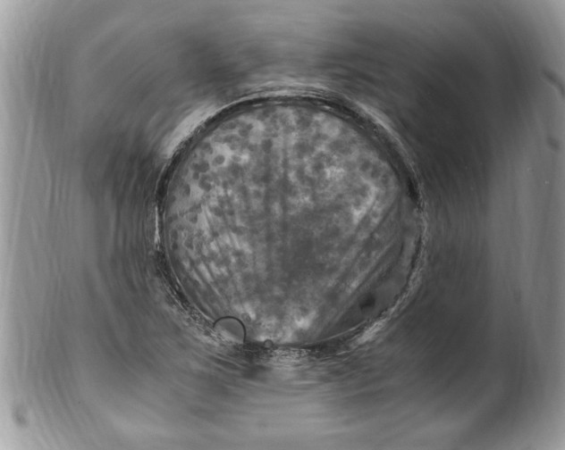 X0000100421267200806201814
