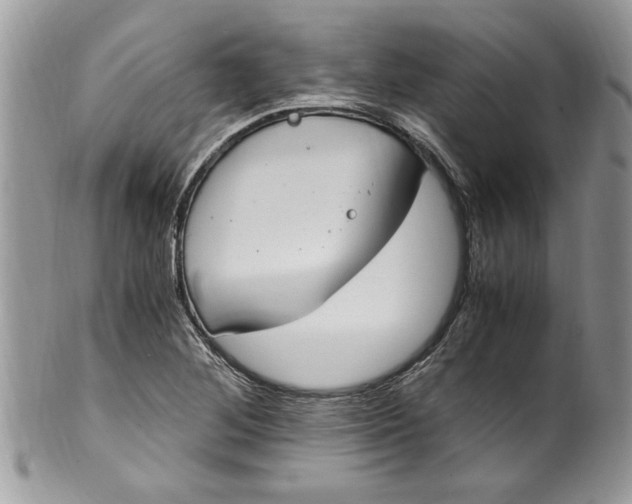 X0000100421268200806201814