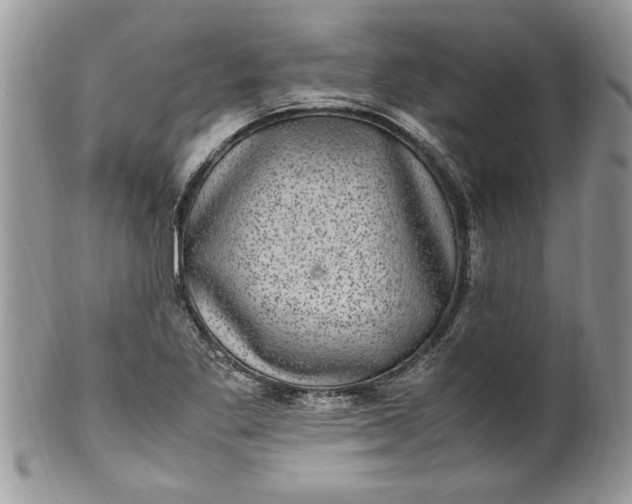 X0000100421269200806201814