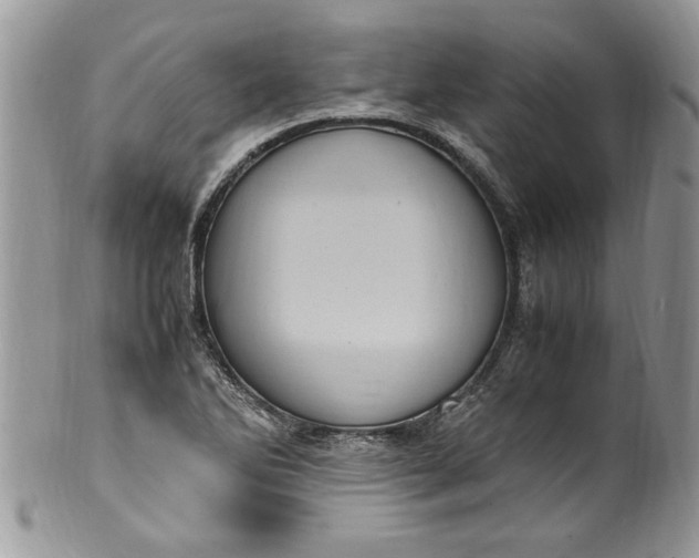 X0000100421270200806201814