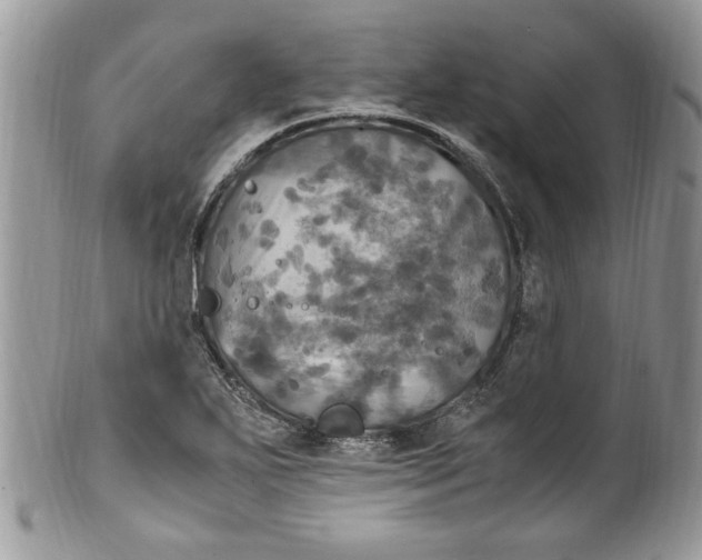 X0000100421271200806201814