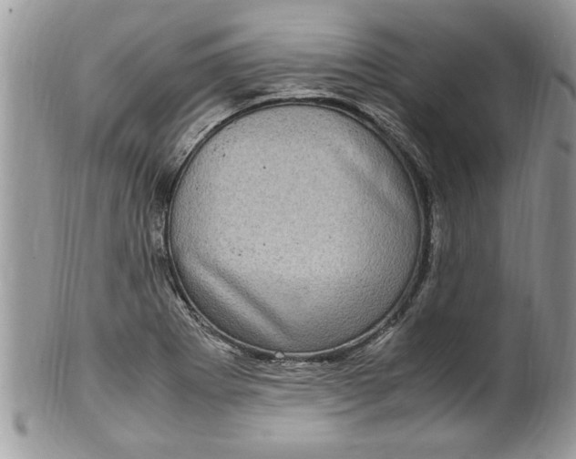 X0000100421273200806201814