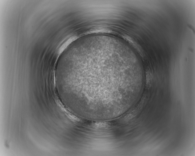 X0000100421274200806201814