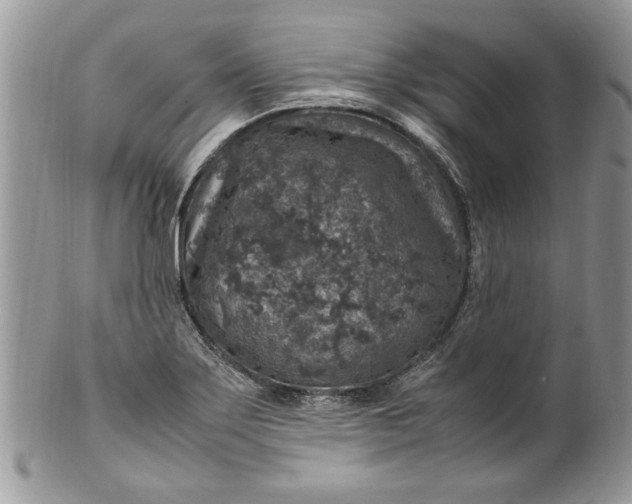 X0000100421275200806201814