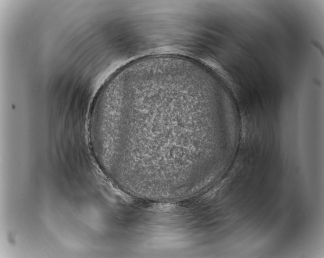 X0000100421278200806201814