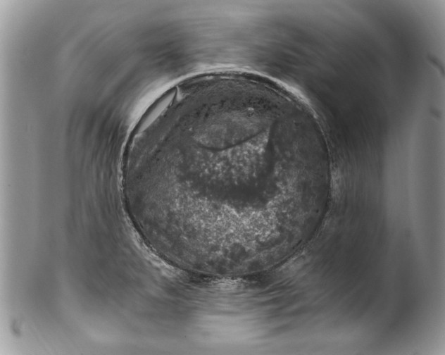 X0000100421279200806201814