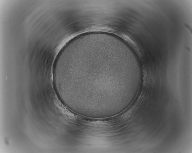 X0000100421280200806201814
