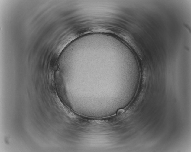 X0000100421281200806201814