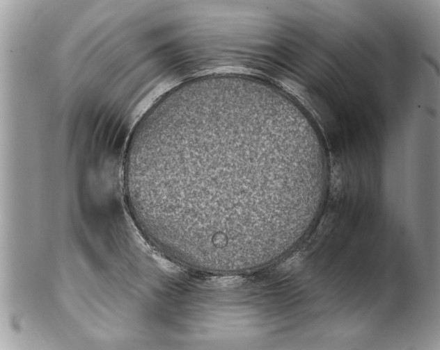 X0000100421282200806201814