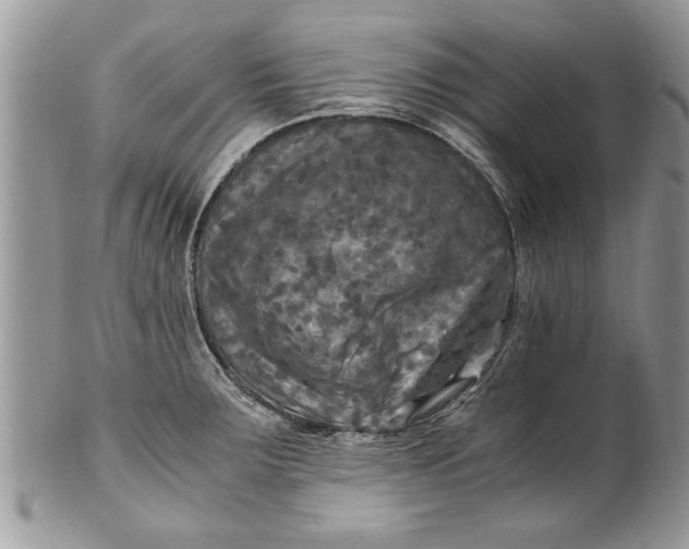 X0000100421283200806201814