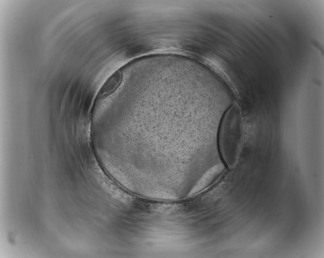 X0000100421284200806201814