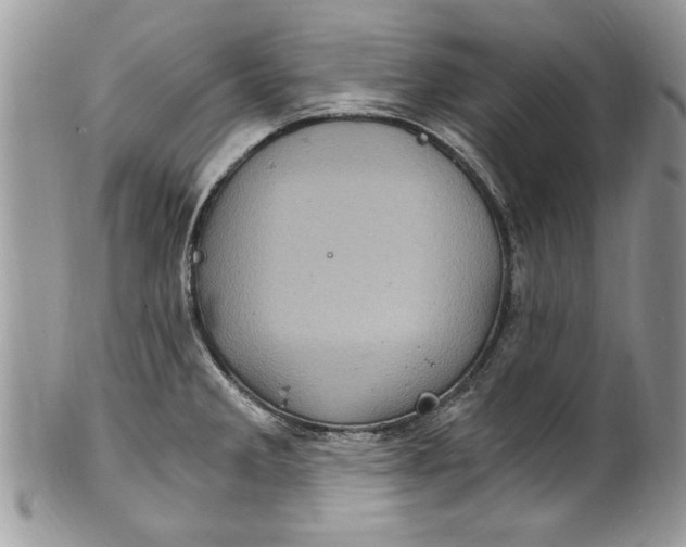 X0000100421285200806201814