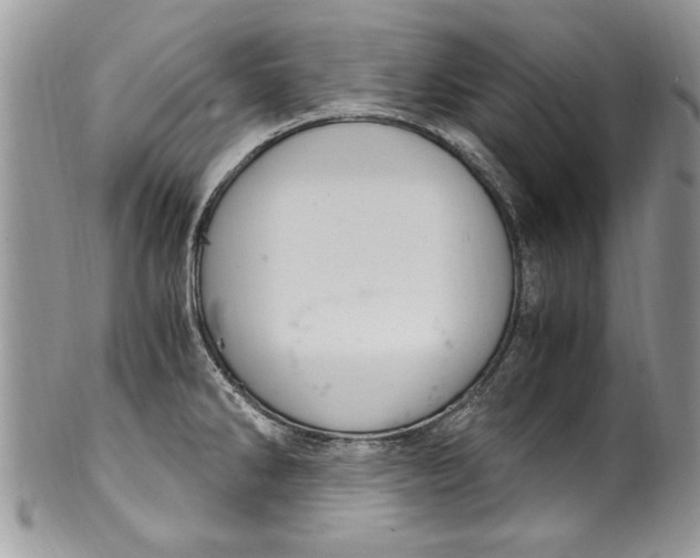X0000100421286200806201814