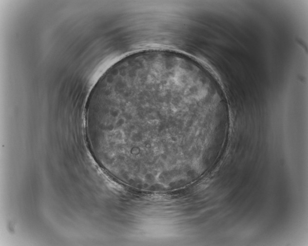 X0000100421287200806201814