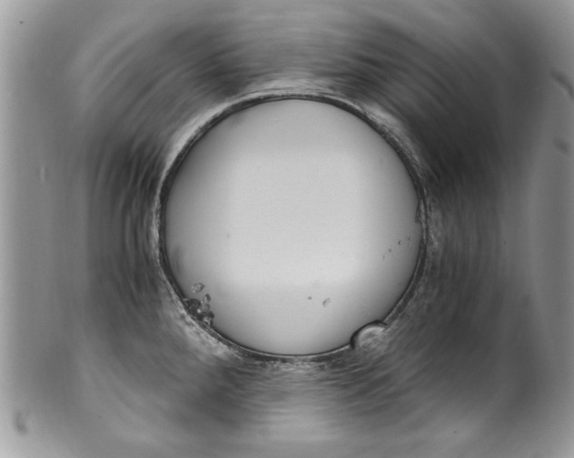 X0000100421288200806201814