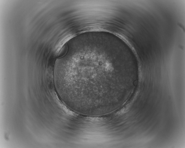 X0000100421289200806201814
