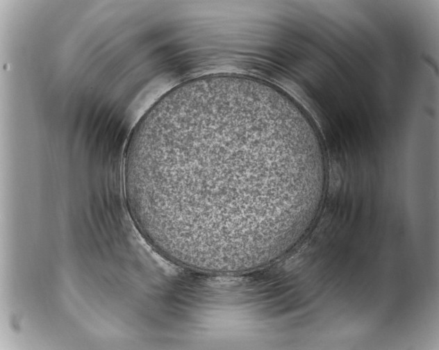 X0000100421290200806201814