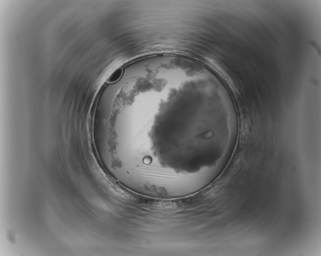 X0000100421291200806201814