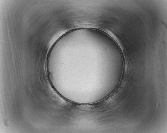 X0000100421293200806201814