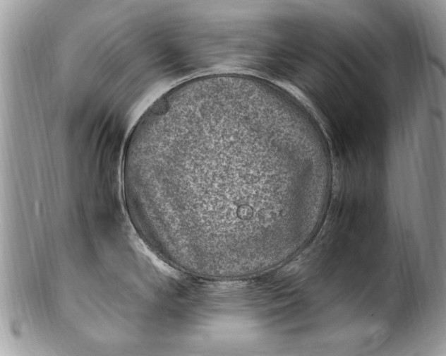 X0000100421294200806201814