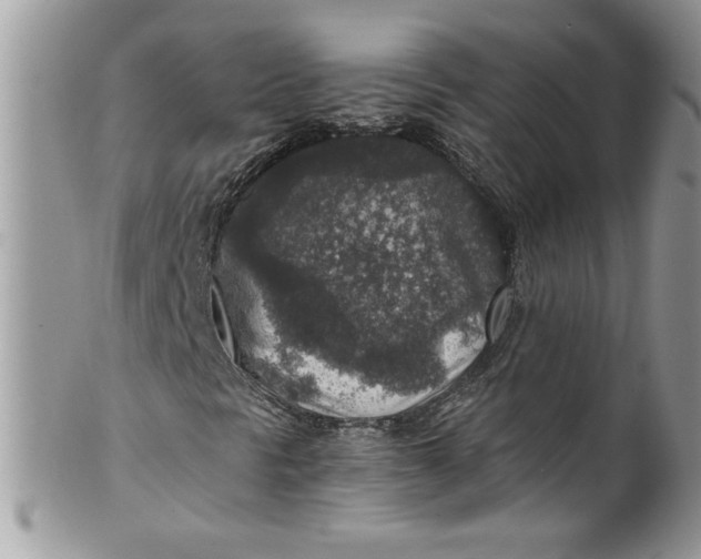 X0000100421297200806201813