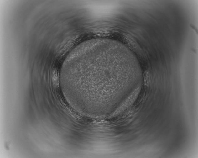 X0000100421298200806201813