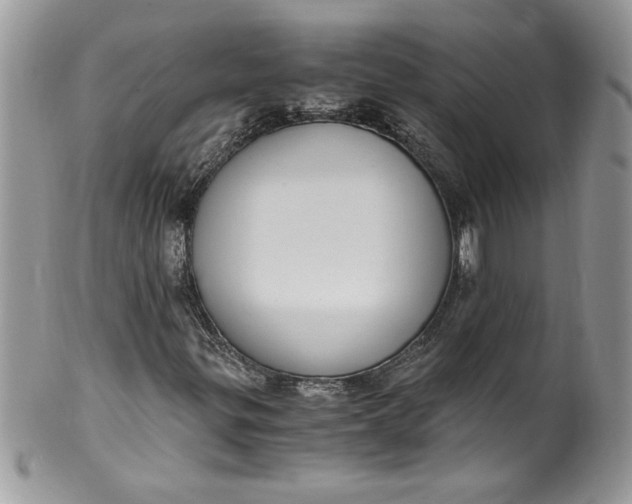X0000100421299200806201813