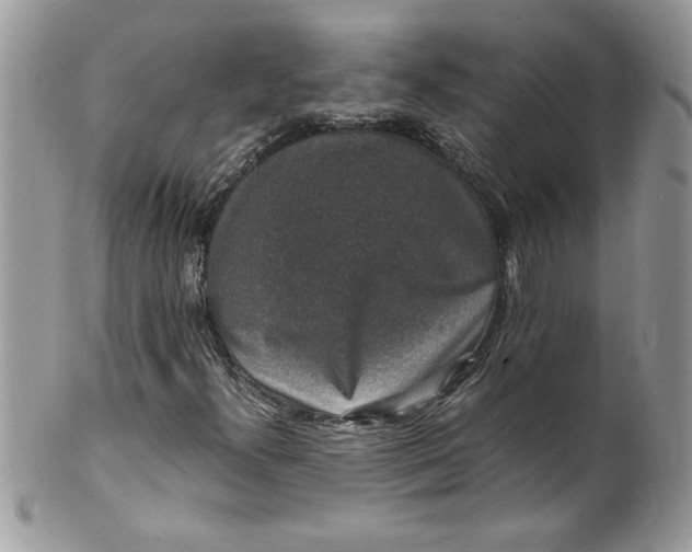 X0000100421300200806201813