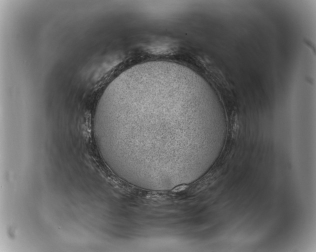 X0000100421301200806201813