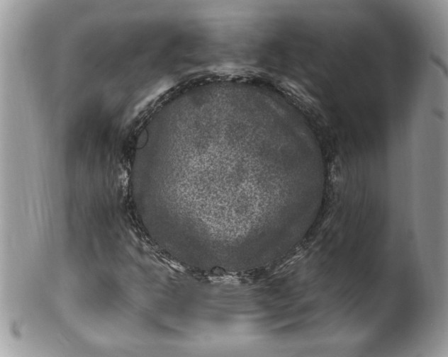 X0000100421302200806201813