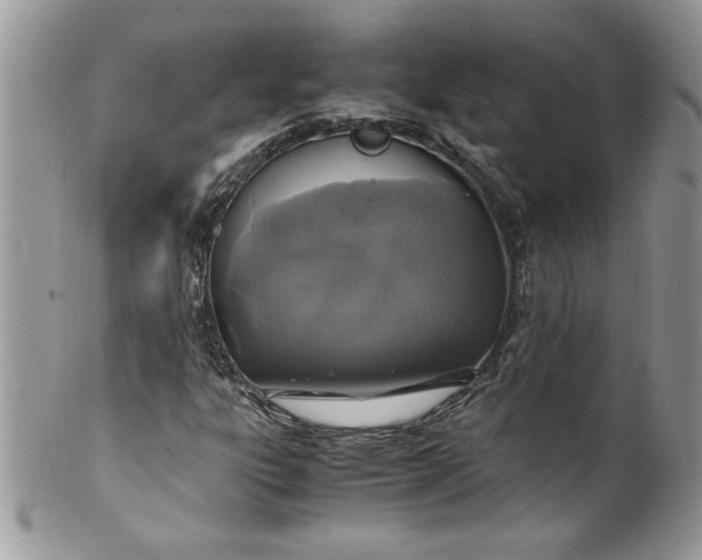X0000100421303200806201813
