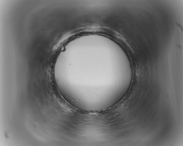 X0000100421304200806201813