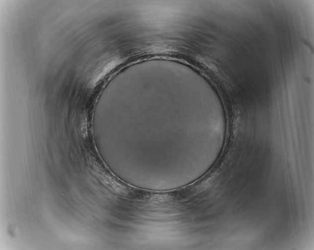X0000100421306200806201813
