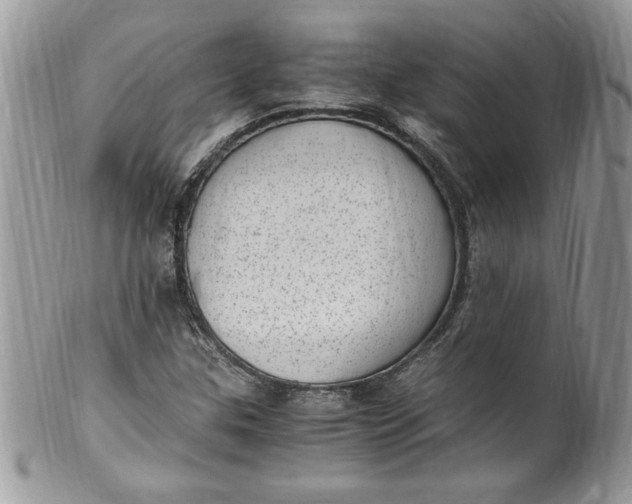 X0000100421307200806201813