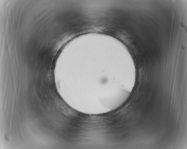 X0000100421308200806201813