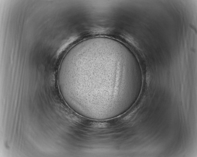 X0000100421309200806201813