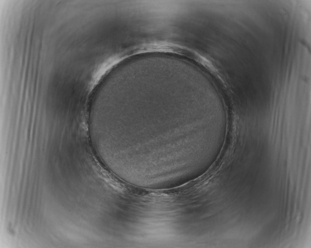 X0000100421312200806201813