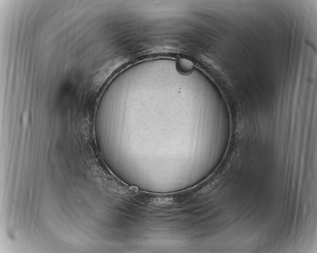 X0000100421313200806201813