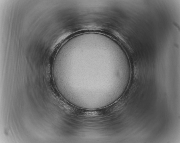 X0000100421315200806201813