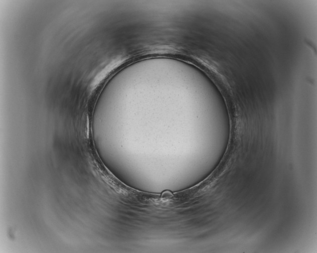 X0000100421317200806201813