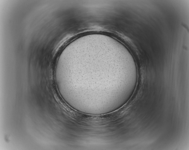 X0000100421318200806201813