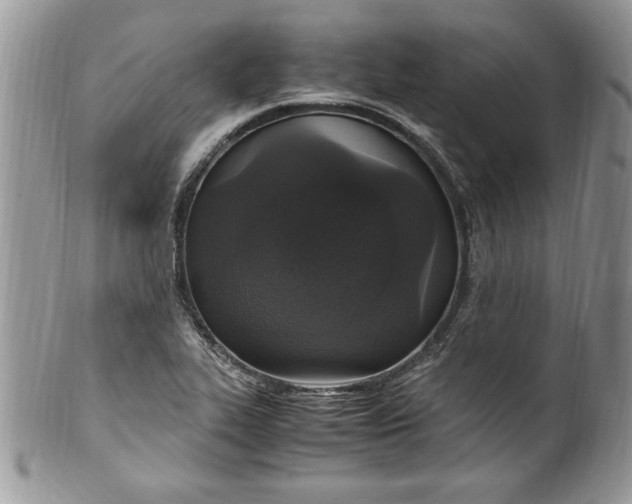 X0000100421319200806201813