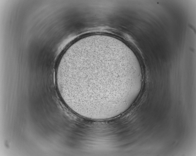 X0000100421320200806201813